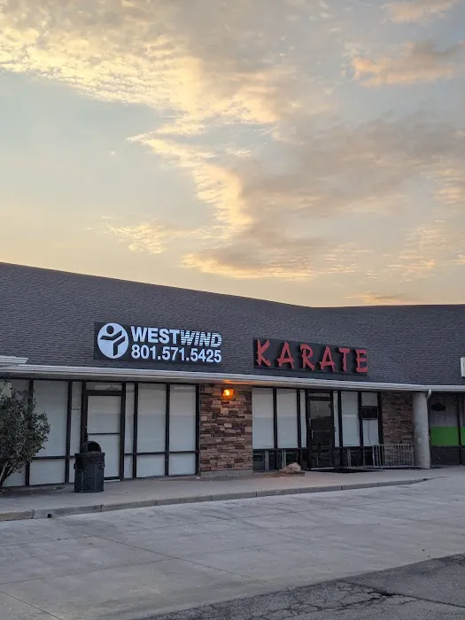 WestWind Karate Kearns Picture 6