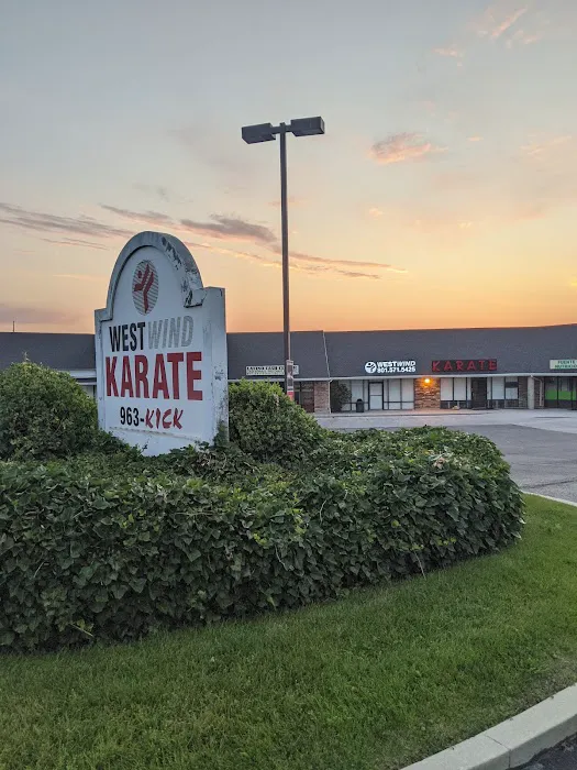 WestWind Karate Kearns Picture 5