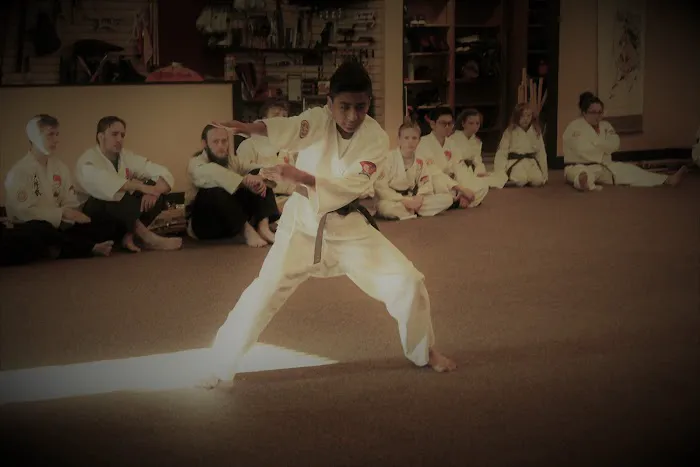 Chinese Shaolin Center for Traditional Martial Arts Picture 3