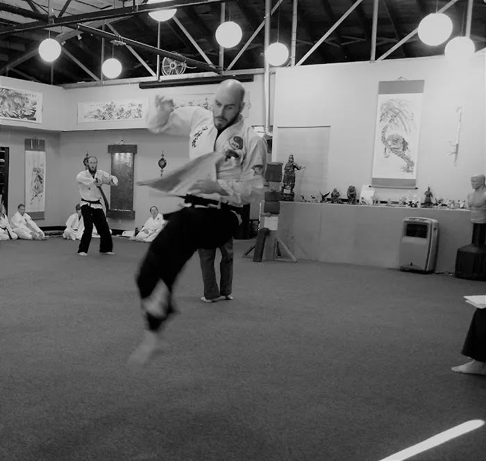Chinese Shaolin Center for Traditional Martial Arts Picture 6