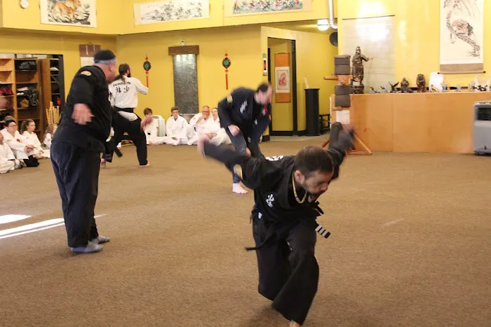 Chinese Shaolin Center for Traditional Martial Arts Picture 5