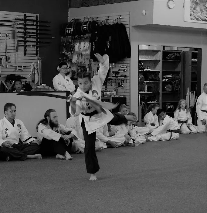 Chinese Shaolin Center for Traditional Martial Arts Picture 10