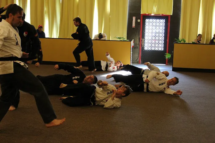 Chinese Shaolin Center for Traditional Martial Arts Picture 7