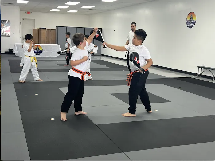 Tenacity Martial Arts Picture 9