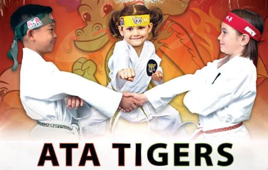 Tenacity Martial Arts Picture 10