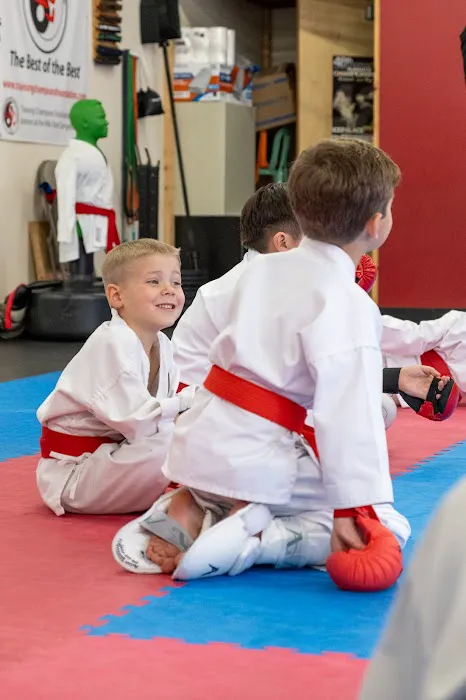 International Martial Arts Association of Utah Picture 1
