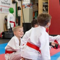 International Martial Arts Association of Utah ico