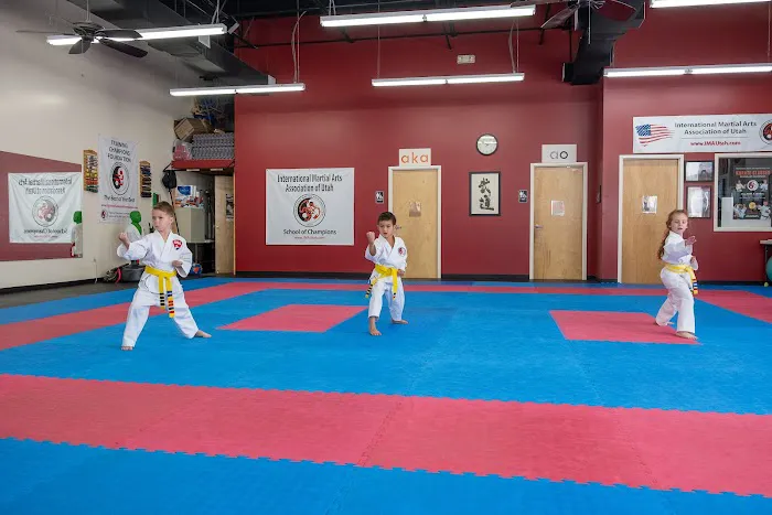 International Martial Arts Association of Utah Picture 2