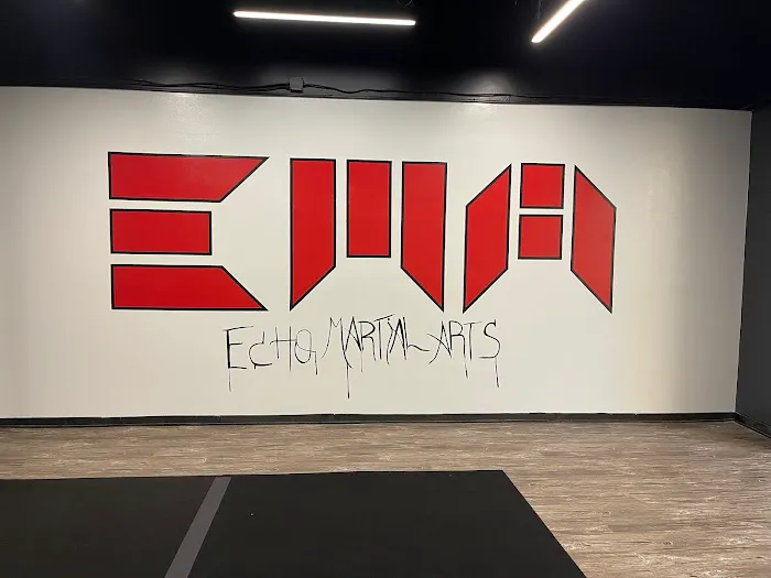Echo Martial Arts Picture 2
