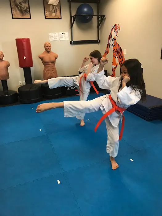 Lawrence Championship Martial Arts (aka Bobby Lawrence Karate) Picture 10