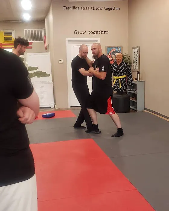Theta Combat Martial Arts Picture 6