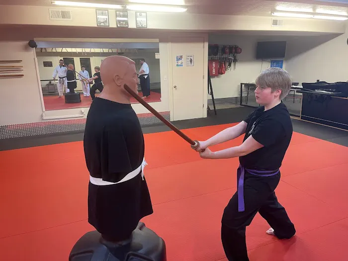 Shotokan Karate Academy Lehi Picture 5