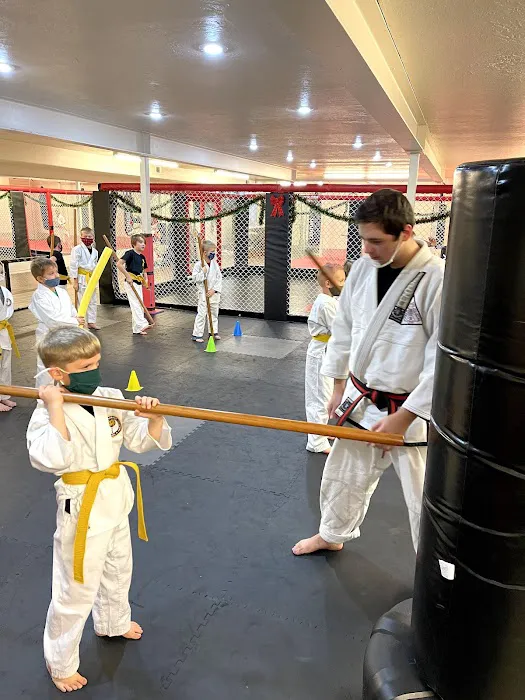 Shotokan Karate Academy Lehi Picture 4