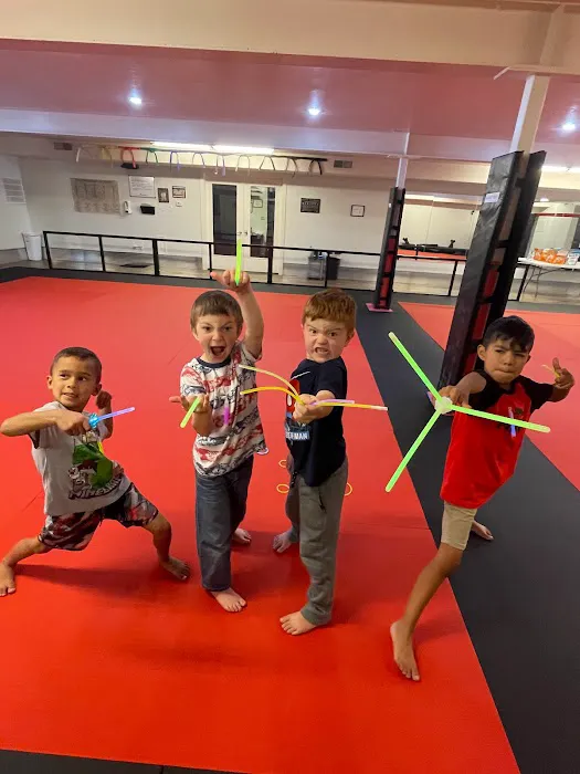 Shotokan Karate Academy Lehi Picture 6