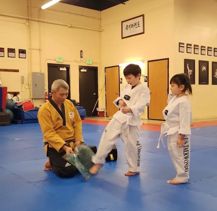Us Tae Kwon Do Korea Picture 2
