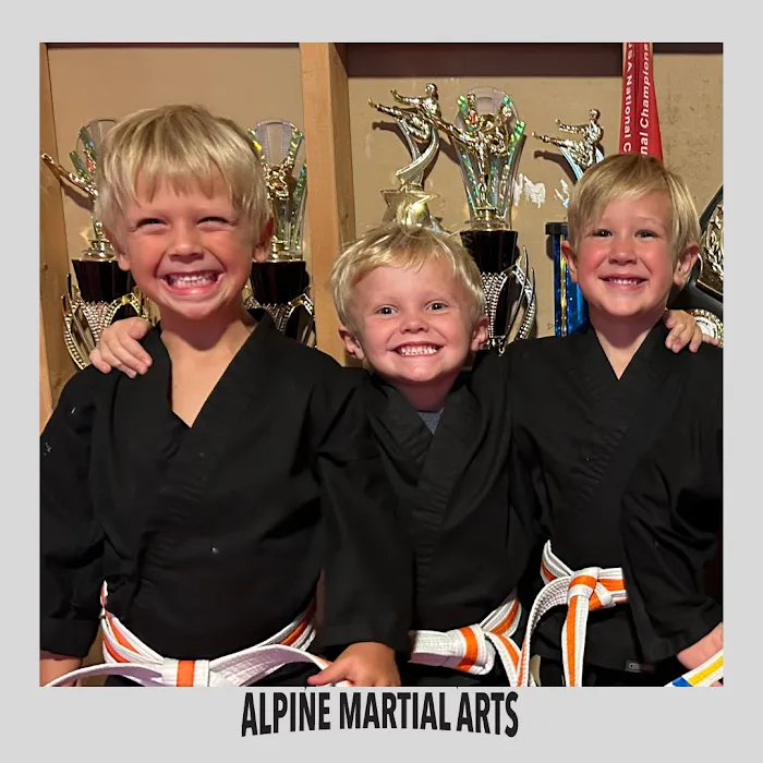 Alpine Martial Arts Picture 9