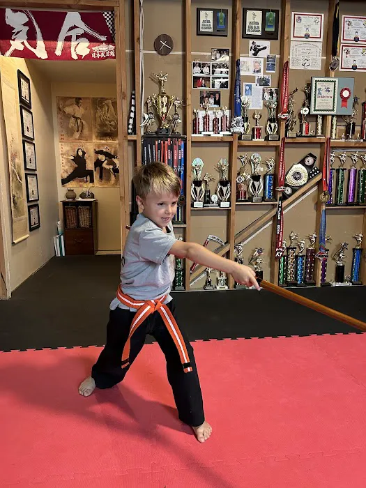 Alpine Martial Arts Picture 4