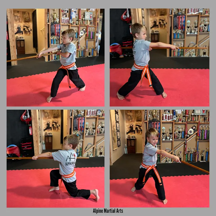 Alpine Martial Arts Picture 10