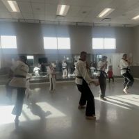 Solomon Karate ico
