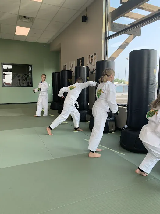Premier Martial Arts Picture 3