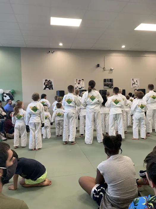 Premier Martial Arts Picture 2