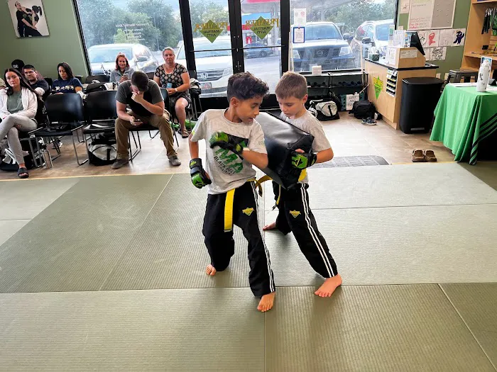 Premier Martial Arts Picture 8