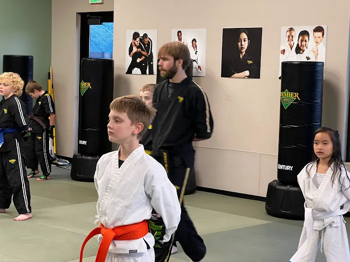 Premier Martial Arts Picture 9