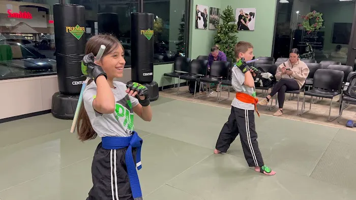 Premier Martial Arts Picture 1