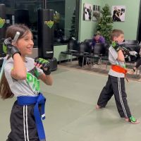 Premier Martial Arts ico