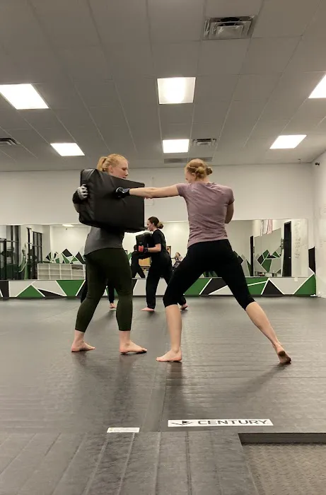 Utah Valley Self Defense Picture 8