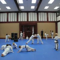 Lotus Blossom School of Martial Arts ico