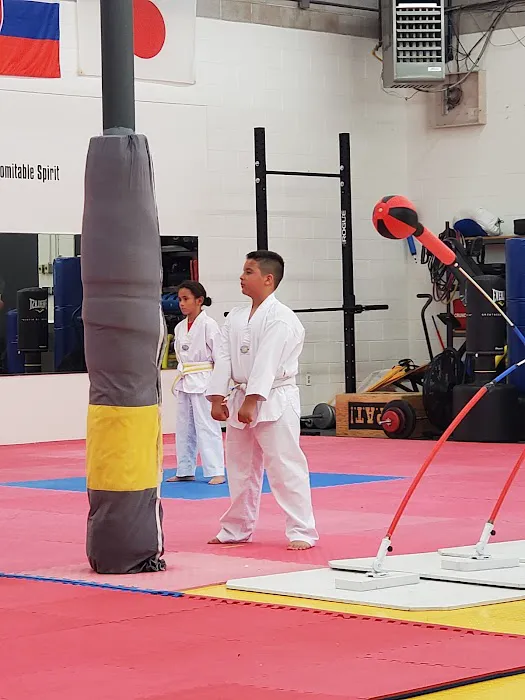 Pace Academy Taekwondo Picture 1
