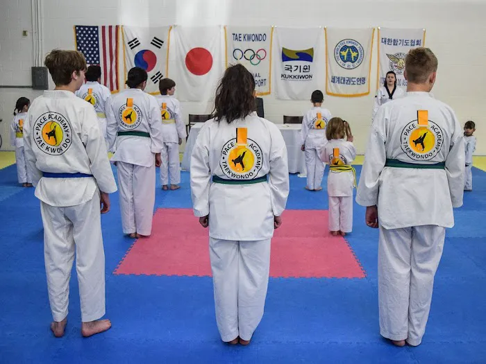 Pace Academy Taekwondo Picture 3