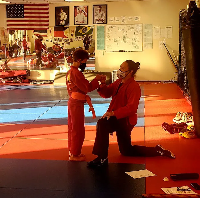 Bernales Institute of Martial Arts Picture 4