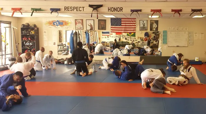Bernales Institute of Martial Arts Picture 1