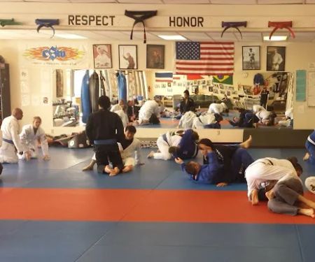 Bernales Institute of Martial Arts