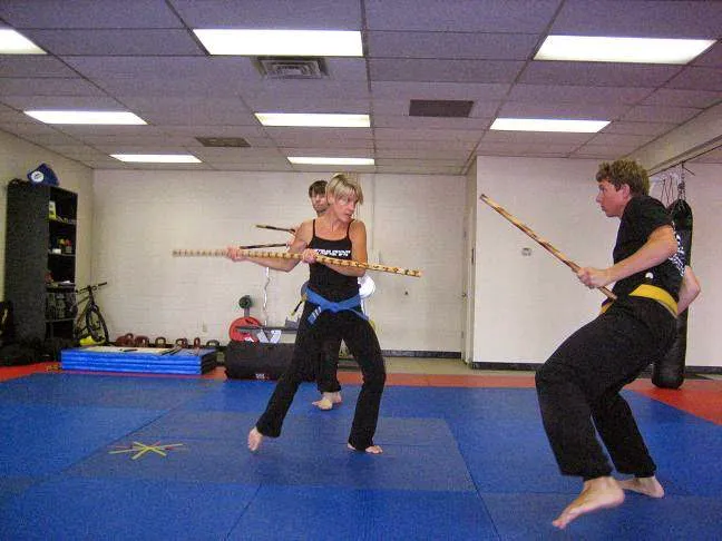 Bernales Institute of Martial Arts Picture 3