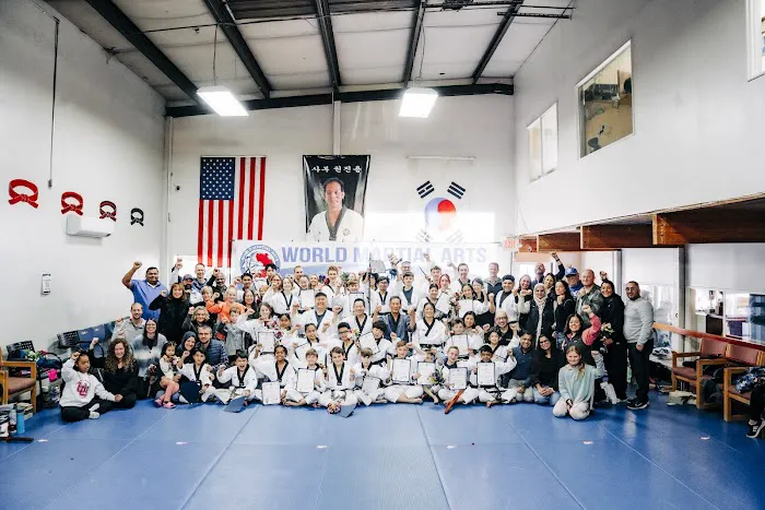 World Martial Arts - Holladay Picture 2