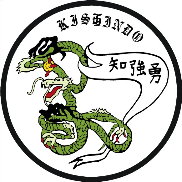 Kishindo Martial Arts Academy Picture 2