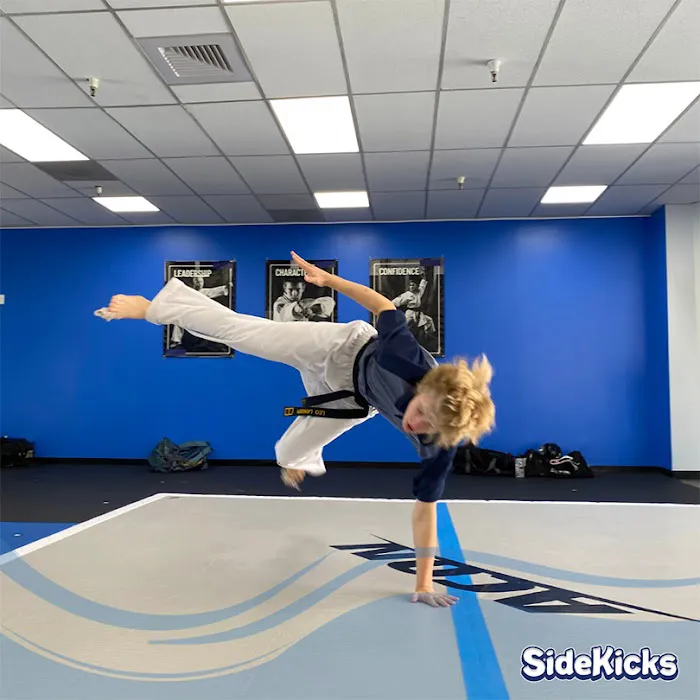 Salt Lake SideKicks Picture 4