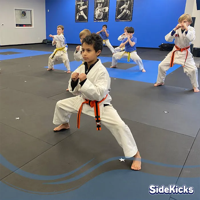 Salt Lake SideKicks Picture 6