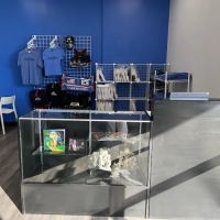 Salt Lake SideKicks ico