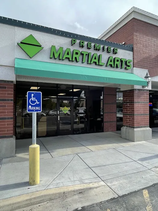 Premier Martial Arts Picture 2