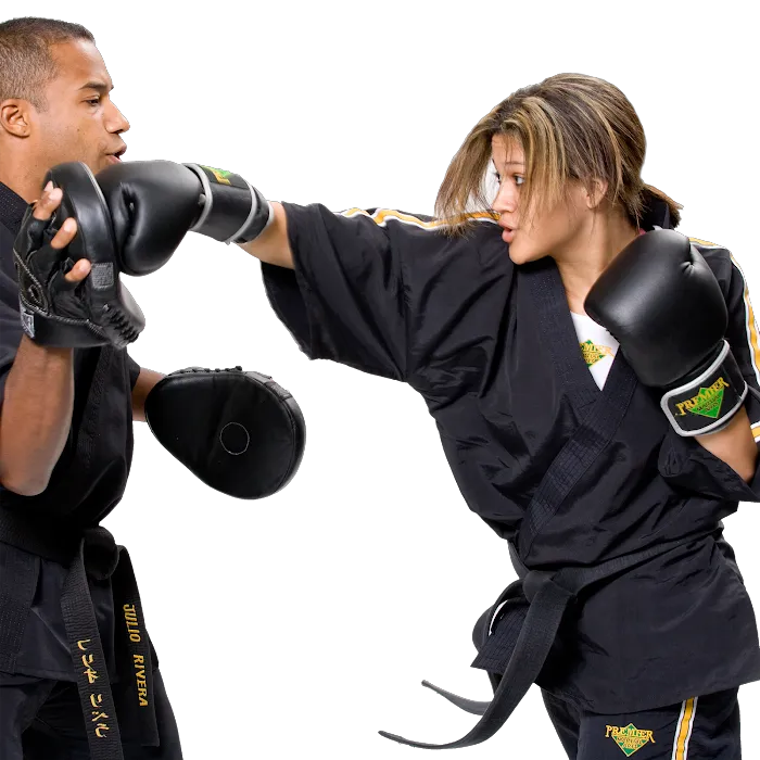 Premier Martial Arts Picture 10