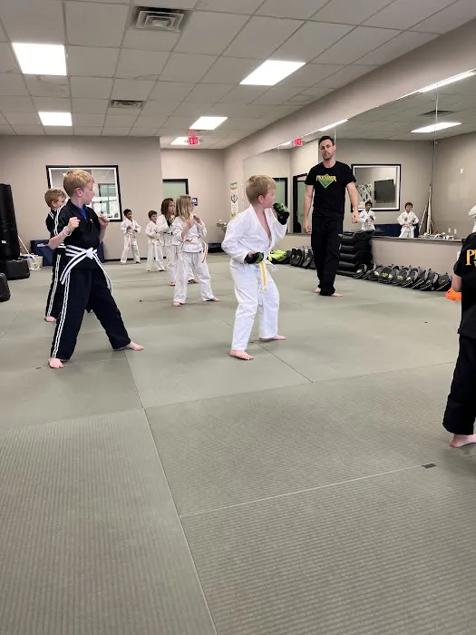 Premier Martial Arts Picture 4