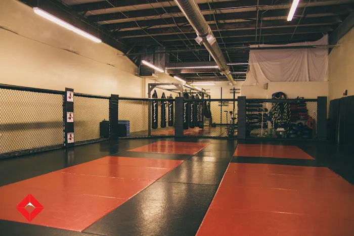 Wasatch Combat Sports Picture 2