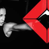 Wasatch Combat Sports ico