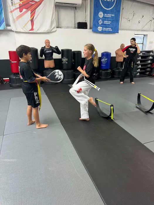 Amys Martial Arts Picture 4