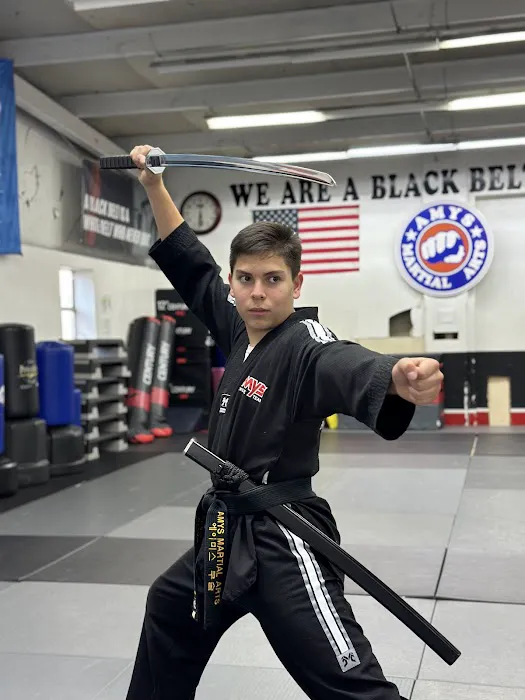 Amys Martial Arts Picture 6
