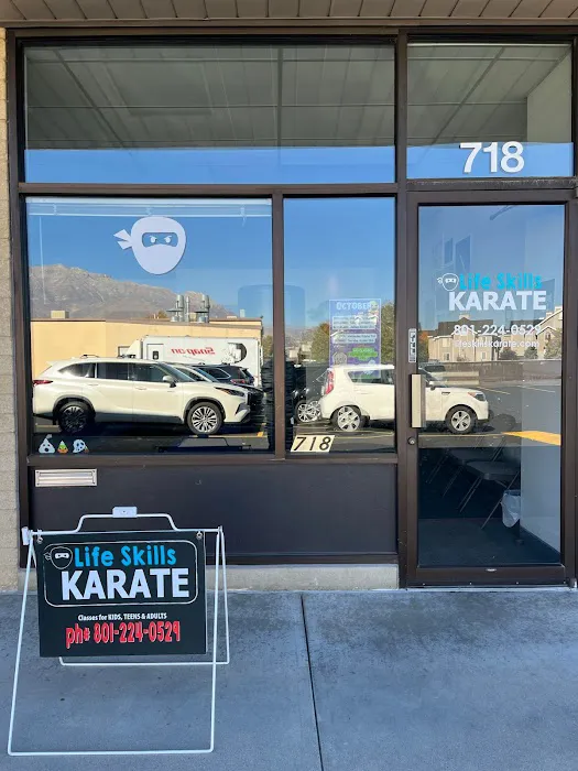 Life Skills Karate Picture 9